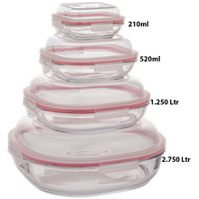 Limon 4 Pcs Glass Storage Box Container